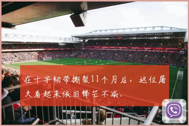 在十字韧带撕裂11个月后，这位屠夫看起来依旧锋芒不减。
