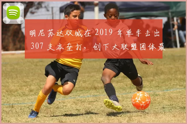 明尼苏达双城在 2019 年单季击出 307 支本垒打，创下大联盟团体最高纪录