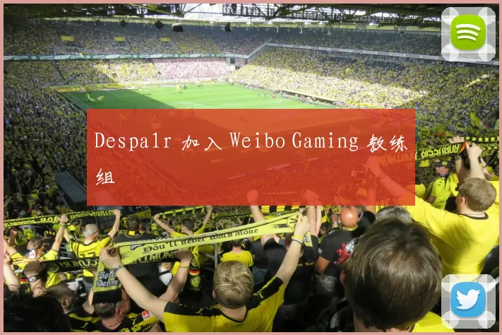 Despa1r 加入 Weibo Gaming 教练组